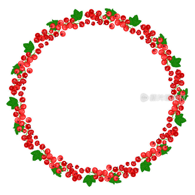 圆形框架的红醋栗浆果与绿叶。健康饮食的概念。成熟的浆果。摘水果。矢量插图在一个平面的风格。