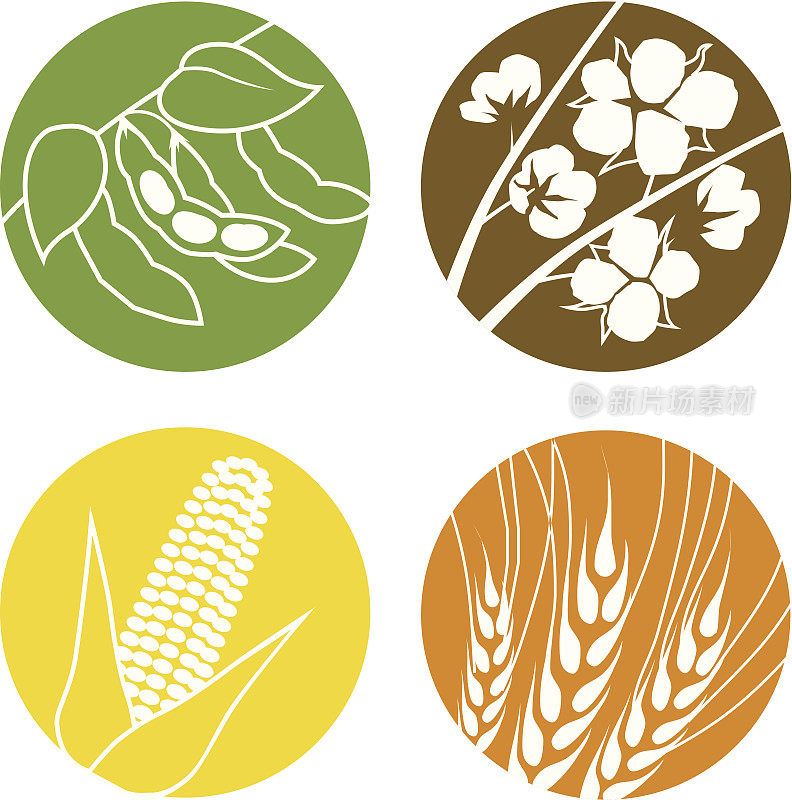 大豆，棉花，玉米和小麦