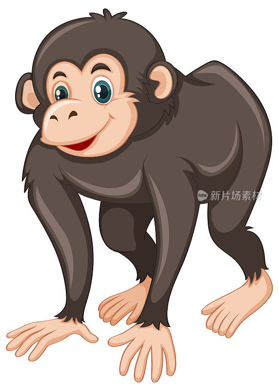 黑猩猩脸上带着快乐的表情