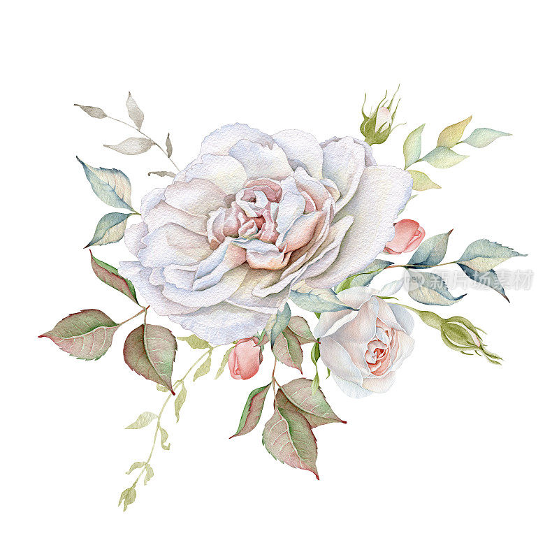 水彩精致的白玫瑰花束