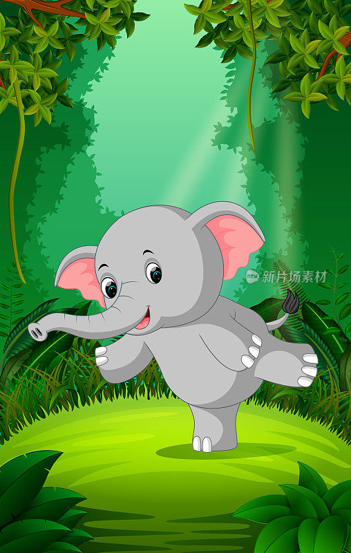 大象在清澈绿色的森林里