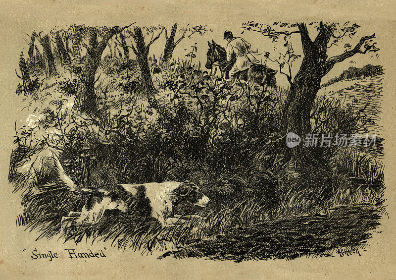 19世纪，维多利亚时代，一只狗独自驱赶狐狸