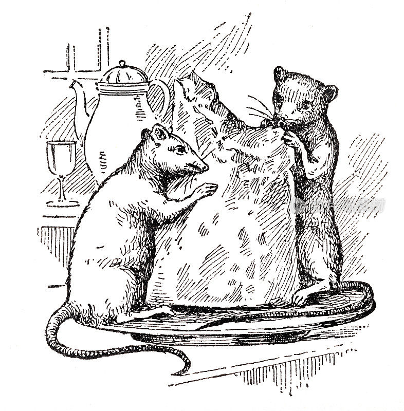 两只老鼠在吃奶酪