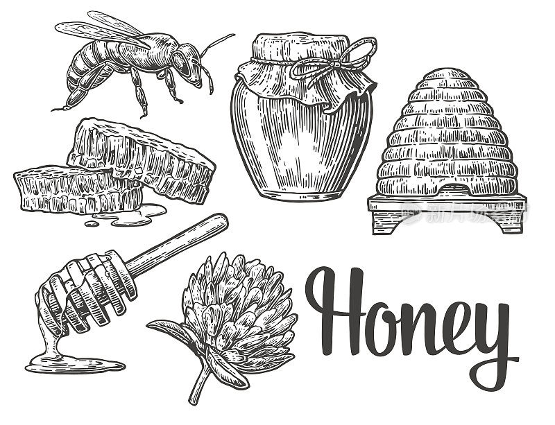 蜂蜜。一罐罐的蜂蜜，蜜蜂，蜂巢，三叶草，蜂窝。