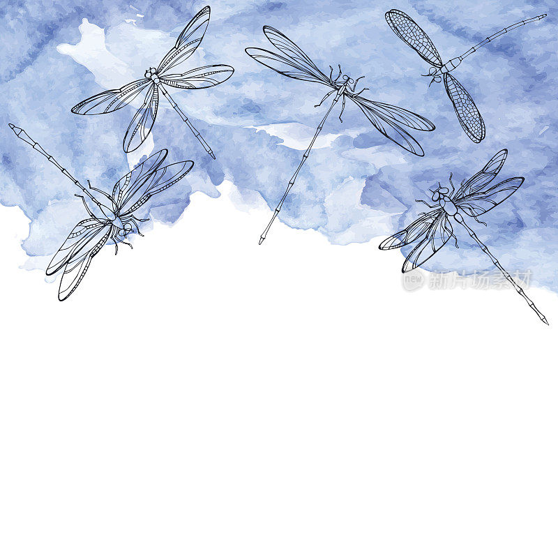 天空中有蜻蜓。矢量插图与文字的地方。五只手绘蜻蜓在蓝色水彩背景上。
