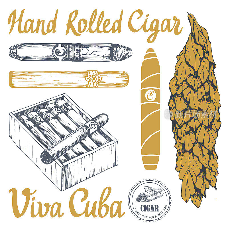 矢量插图与经典吸烟设置。一串烟盒，手卷雪茄，草叶。古巴最好的质量