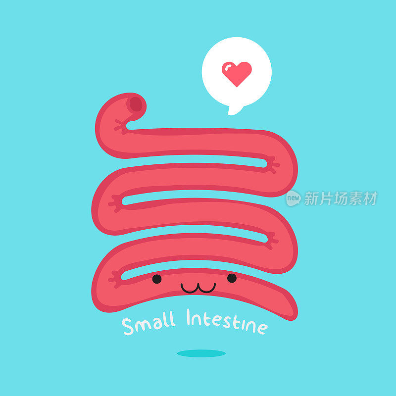 small-intestine-characters-03