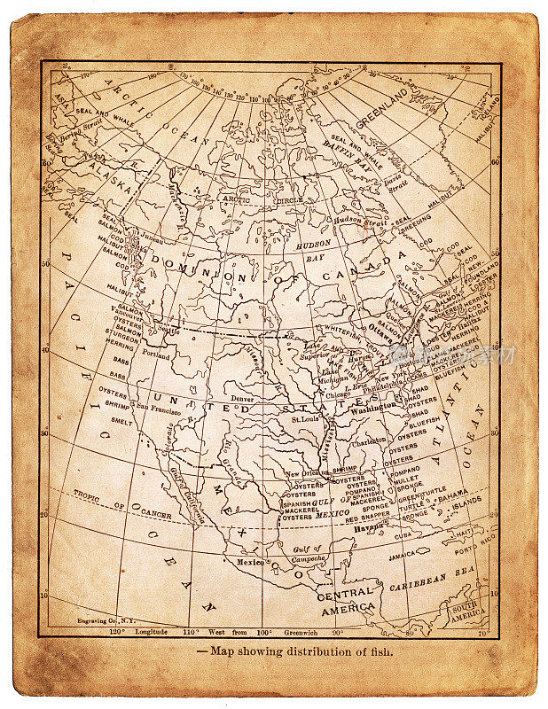 北美地图1898