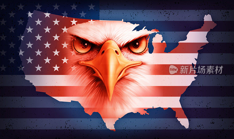 美国国旗地图秃鹰