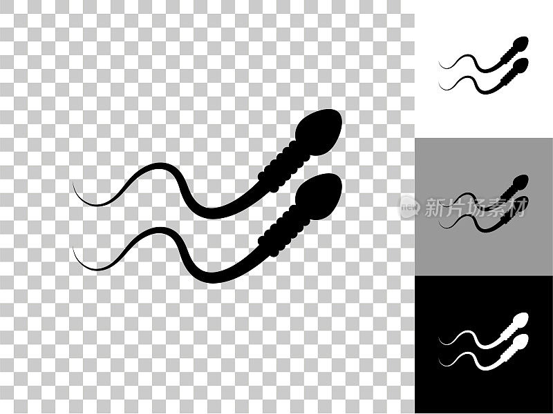 精子细胞图标在棋盘透明的背景