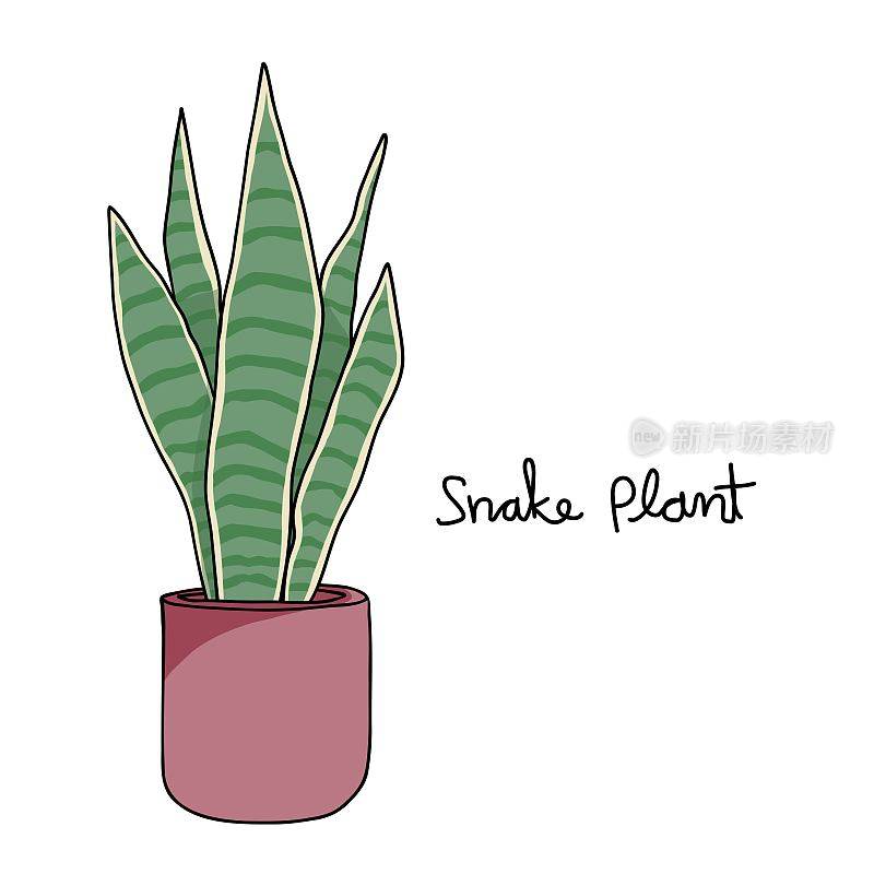 蛇植物绘制矢量插图