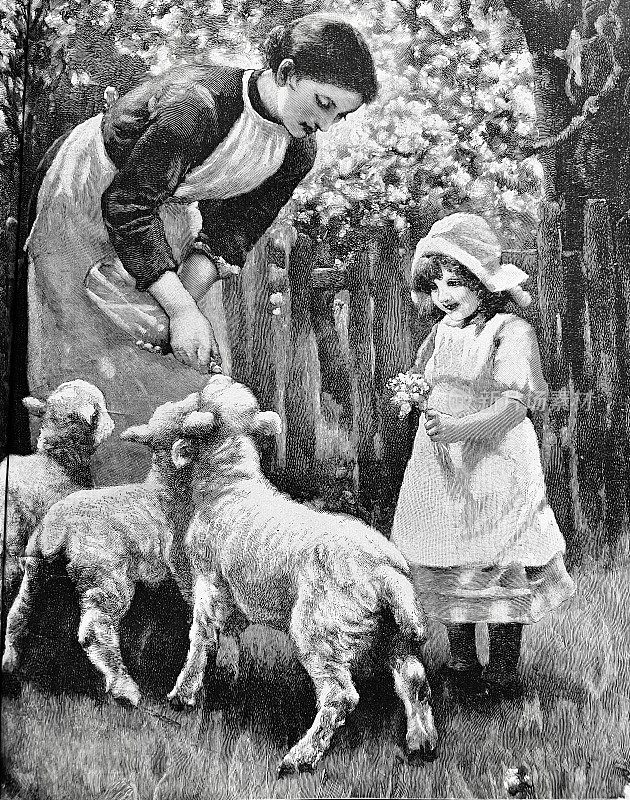 妈妈和女儿喂小羊羔