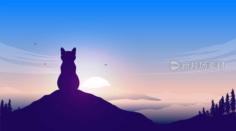 孤独猫看日落的孤独概念插图