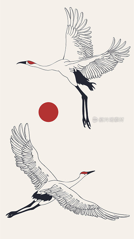 柔和的复古海报。手绘插图与鹤和太阳。