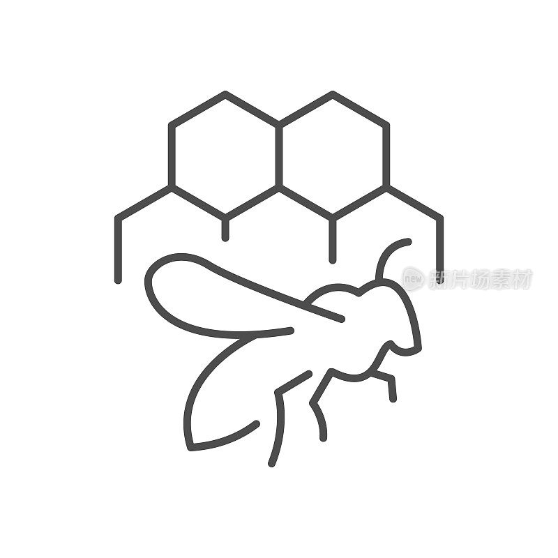 蜜蜂和蜂巢线图标