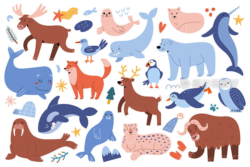 北极动物，驯鹿和驼鹿，来自阿拉斯加的北极哺乳动物，蓝鲸，可爱的北极熊，雪豹和小海豹