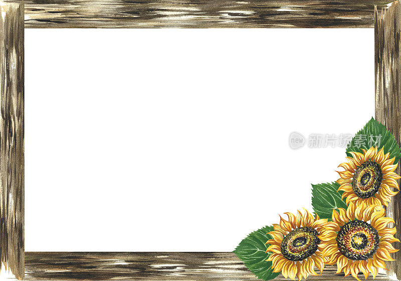 框架与向日葵和木板。水彩手绘插图。在白色的背景上。黄色花朵用于乡村婚礼请柬，感恩节装饰，保存日期卡片。