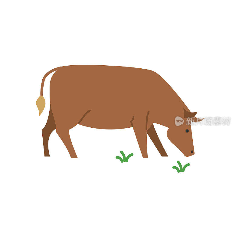 肉牛农业图标在平坦的颜色上透明的背景