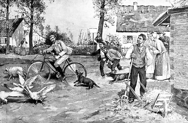 一名男子骑着自行车穿过一个农场，一头猪和几只鹅在他前面，狗和男孩在他后面追赶