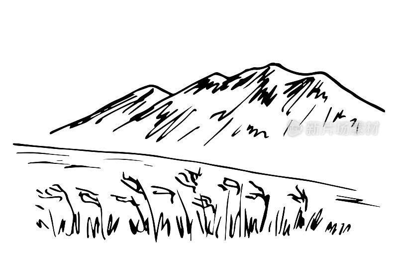 简单的黑色轮廓矢量绘图。山景、原野、羽草、草原。用墨水写生。
