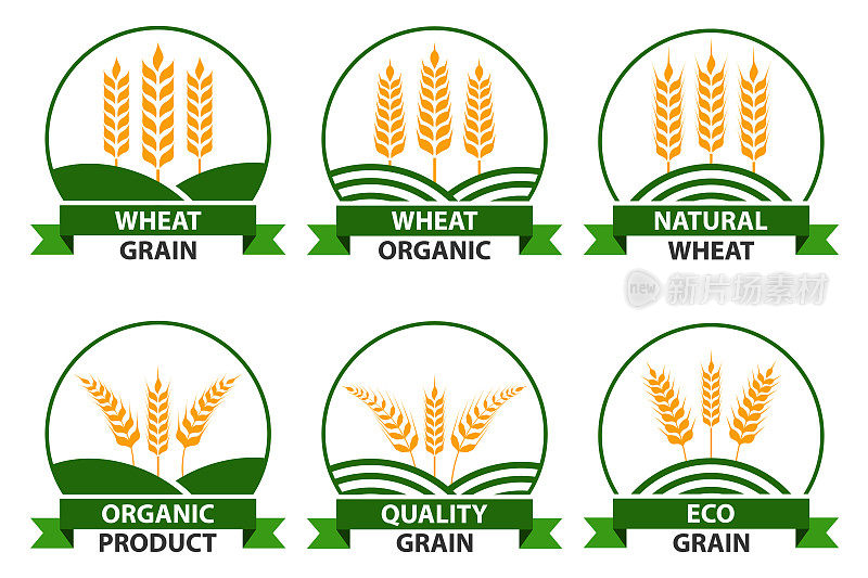 小麦标志模板矢量插图