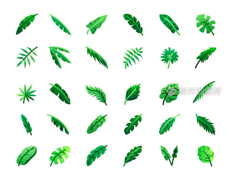 棕榈叶平面图标集