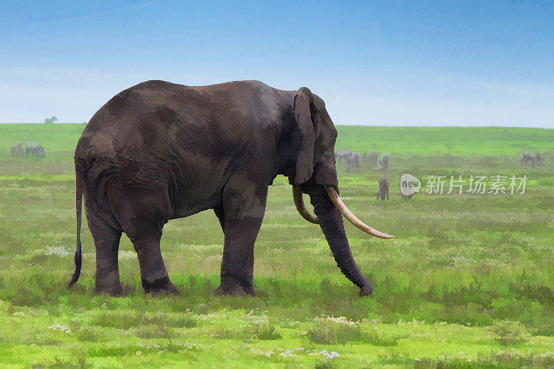 大象在萨凡纳