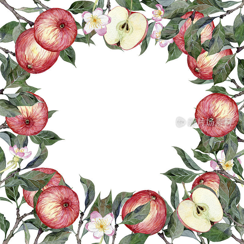 一个手工制作的水彩画框架，上面有苹果、鲜花和树叶。