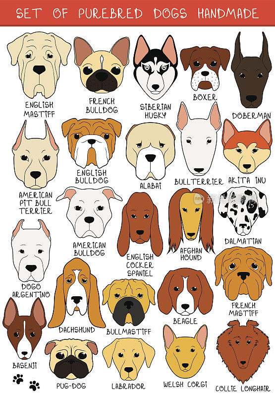 24种不同品种的彩色狗手工制作。头狗