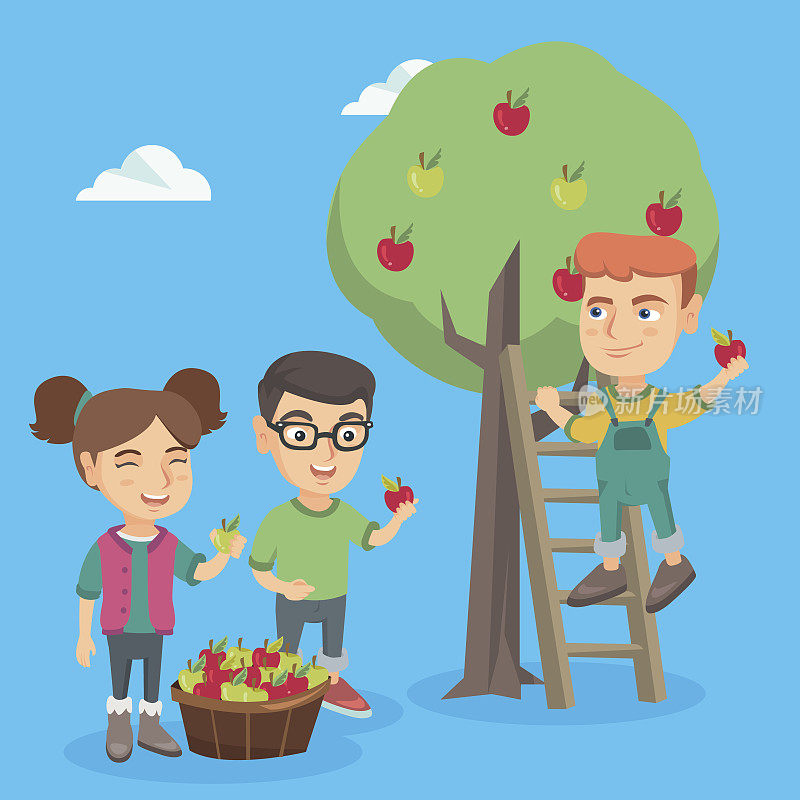 孩子们在苹果园里摘苹果