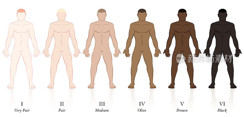 皮肤类型。六个不同肤色的男人。非常白皙、白皙、中等、橄榄色、棕色和黑色，以确定防晒系数。