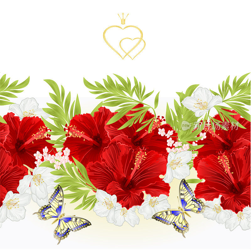 花边界无缝背景红色木槿花与茉莉花和蝴蝶复古矢量插图使用在室内设计，盘子，服装，包装