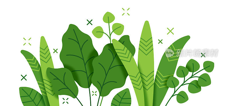 热带植物和树叶生长现代背景股票插图