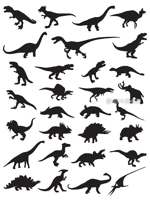 三十恐龙轮廓