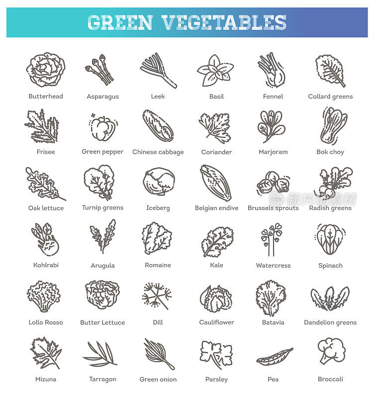 绿色蔬菜色拉。矢量素食健康食物叶套