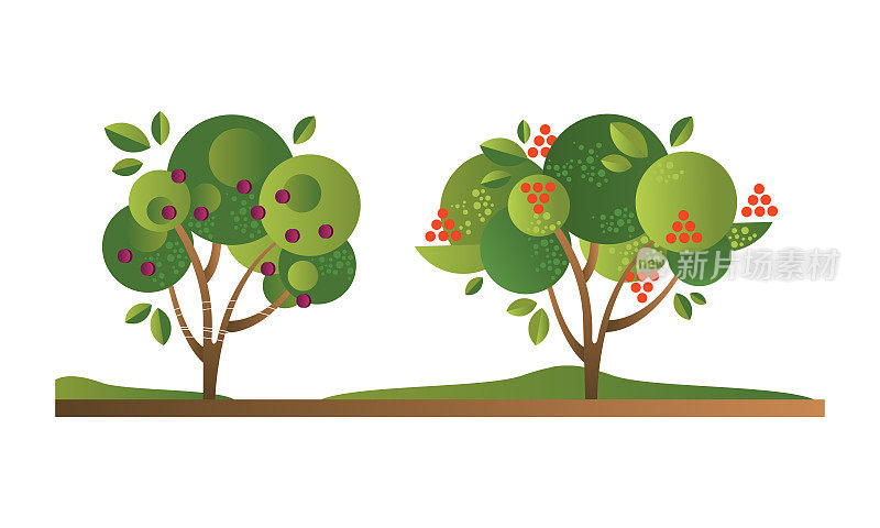 果树与成熟的果实，樱桃园树平面矢量插图