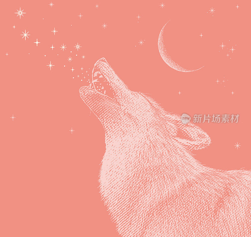 灰狼对着月亮嚎叫