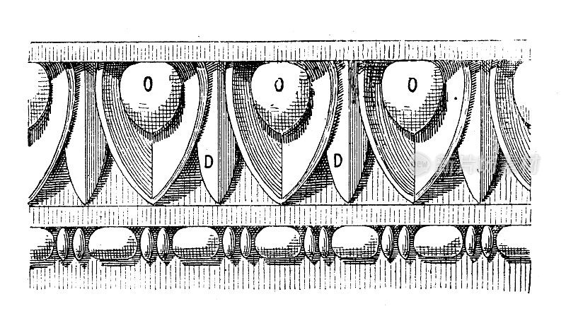 仿古插画:卵形装饰，庞贝