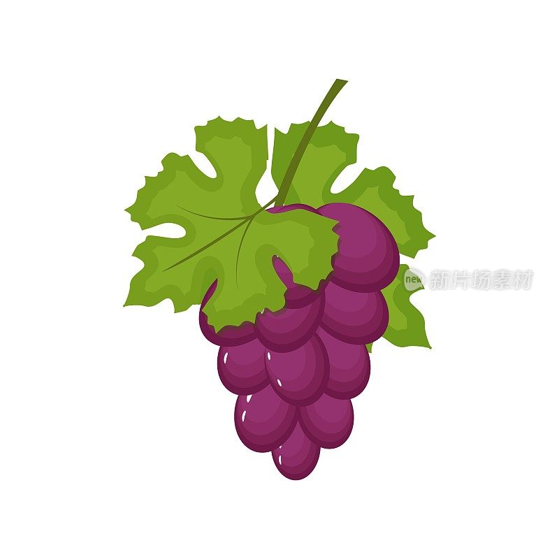 一串葡萄酒葡萄与叶孤立在白色背景。葡萄图标在平面卡通风格。新鲜浆果，水果原料。矢量图