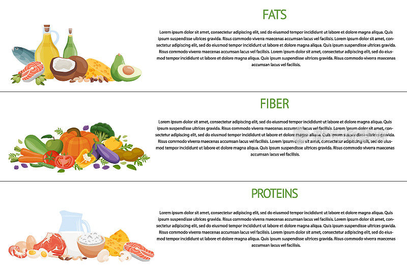一系列健康的大量营养素。食品中含有的蛋白质、脂肪和碳水化合物。表营养类别的矢量插图。均衡的营养。健康食品。