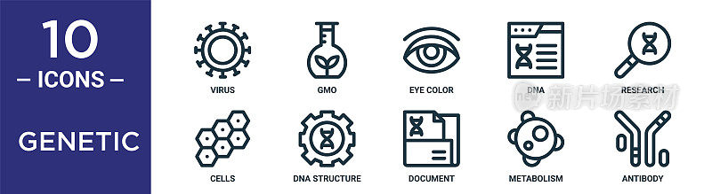 遗传轮廓图标集包括细线病毒，眼睛颜色，研究，DNA结构，代谢，抗体，细胞图标报告，演示，图表，网页设计