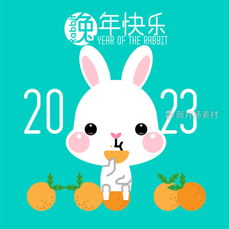 祝中国2023年兔年新年快乐。小兔子贺卡，海报，横幅，小册子，日历。(翻译:兔年新年快乐)