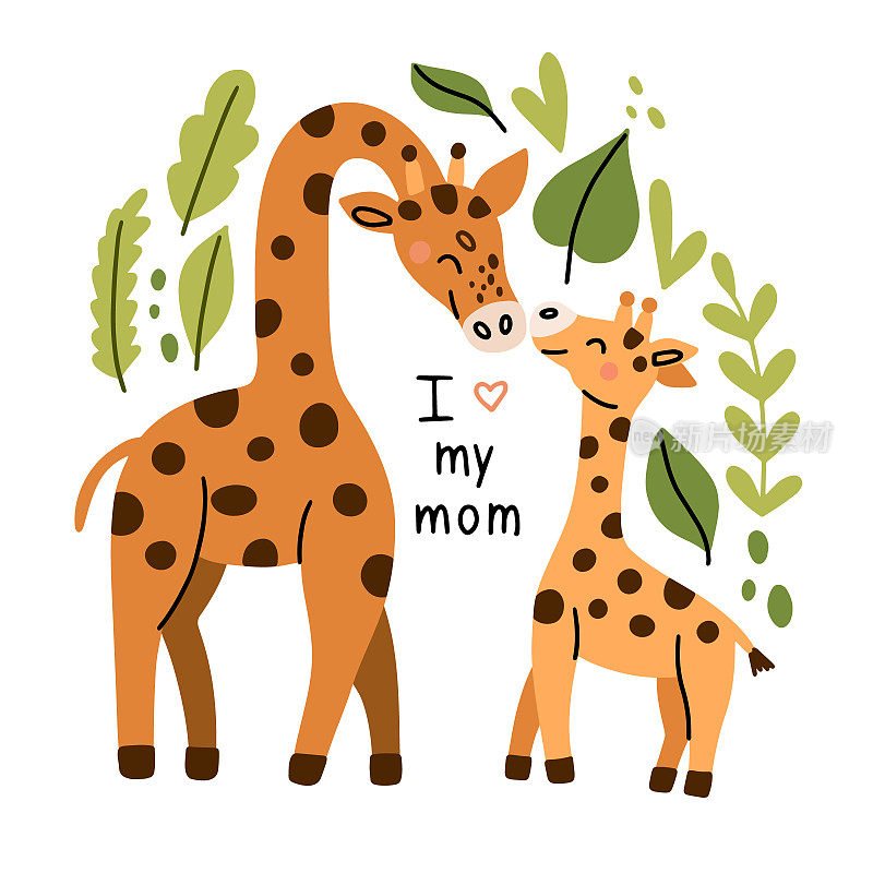 长颈鹿妈妈带着宝宝。矢量插图隔离在白色背景为您的设计