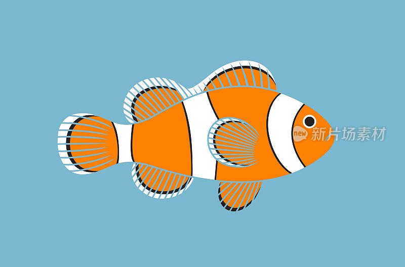 小丑鱼标志。白色背景上孤立的小丑鱼