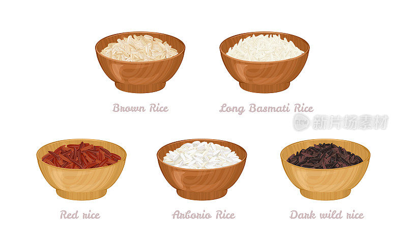 一套木碗与不同类型的稻种。阿博里奥米，深色野生米，红色长香米和糙米。矢量卡通插图。
