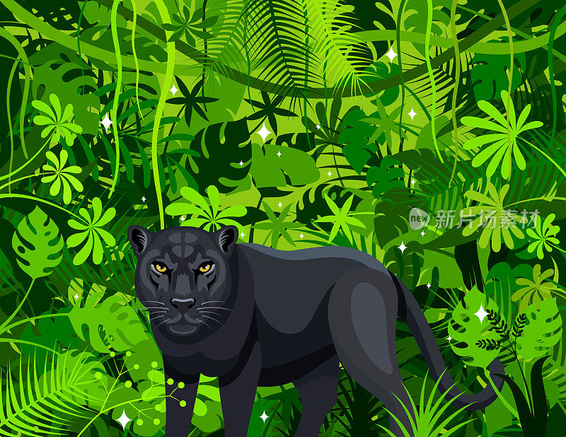 丛林里的黑豹。吉祥物创意标志设计。
