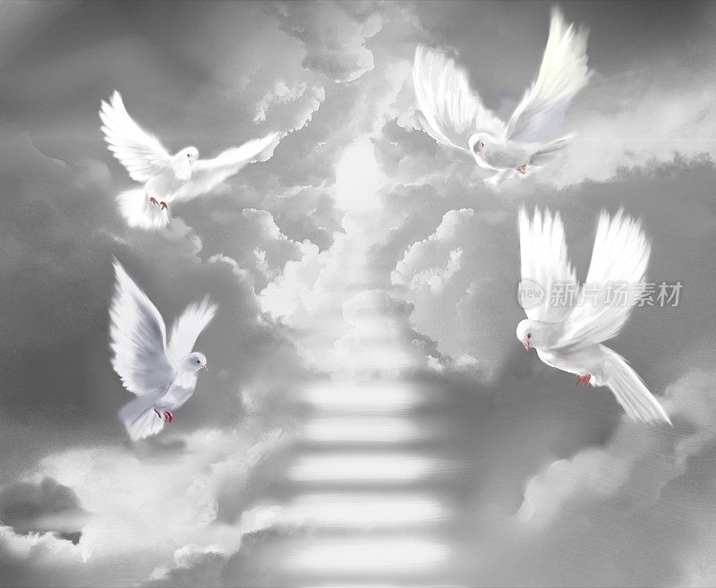 幸运的背景插图是一只白色的鸽子，象征着和平，在天堂的神秘云海周围飞行
