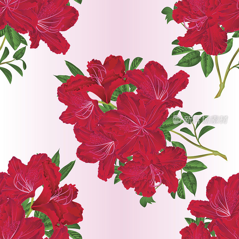 无缝纹理嫩枝红杜鹃花和叶复古植物矢量编辑插图