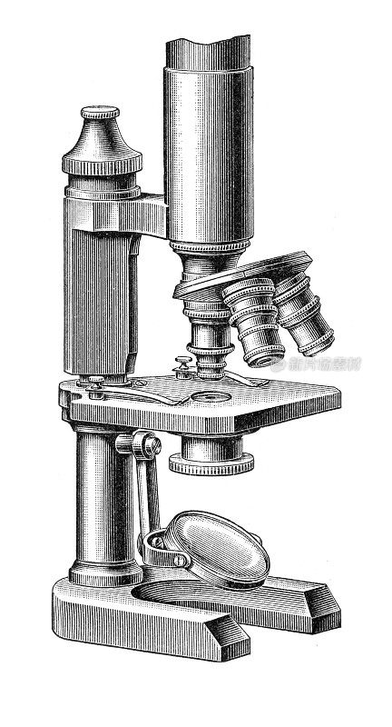 古董显微镜19世纪