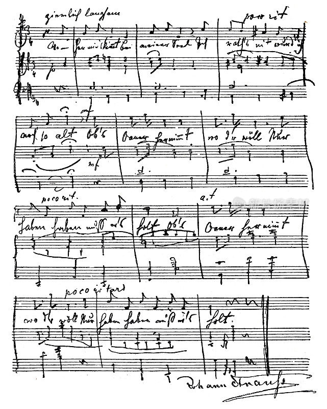 约翰・施特劳斯,手写的旋律